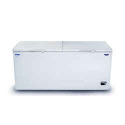 Fujidenzo 20 cu. ft. Solid Top Chest Freezer, Key Lock, Inverter Technology - up to 30% Energy Savings
