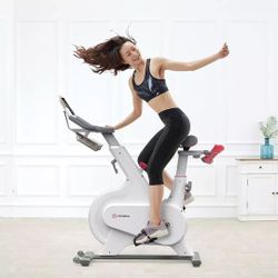 Xiaomi Yesoul Spinning Bike