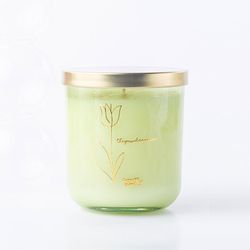Happy Island Coconut Blend Candle - The Powder Room