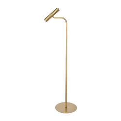 Cygnus Brass Modern Floor Lamp